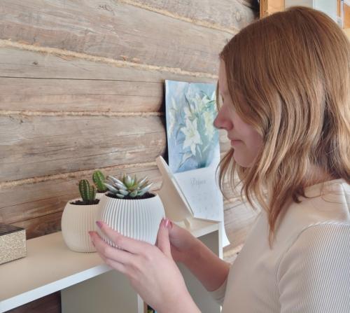 В декабре Настя бонсай попросила. 
