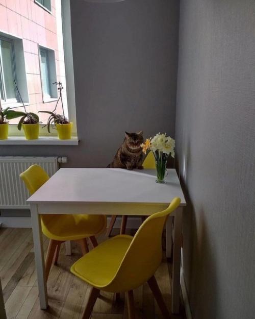 Стильное и недорогое обустройство кухни 5 квадратов в обычной хрущевке. 01