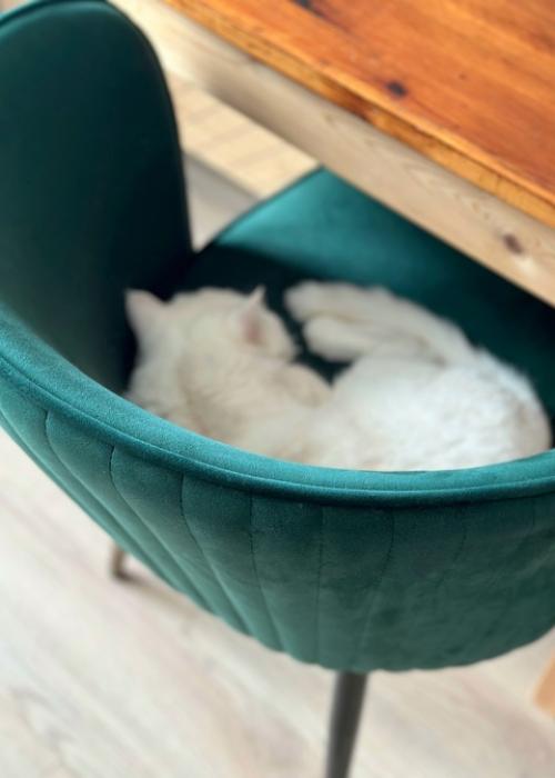 Три новости за последние дни: 08