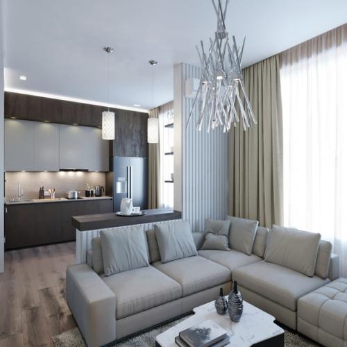 Однокомнатная квартира с выделенным спальным местом. 03