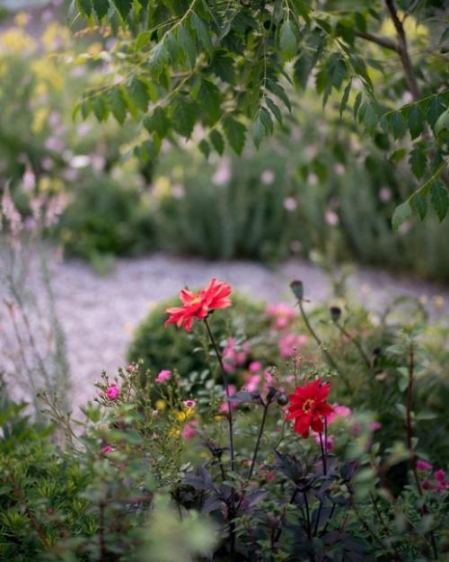 Мы планируем сад: для кинестетиков, аудиалов, визуалов. 03