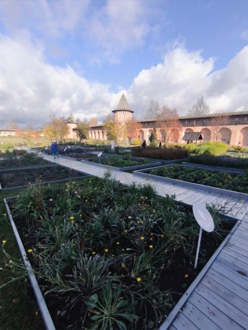 Счастье путешествовать.  Побывал в ноябре 2024 года в Суздале. 07