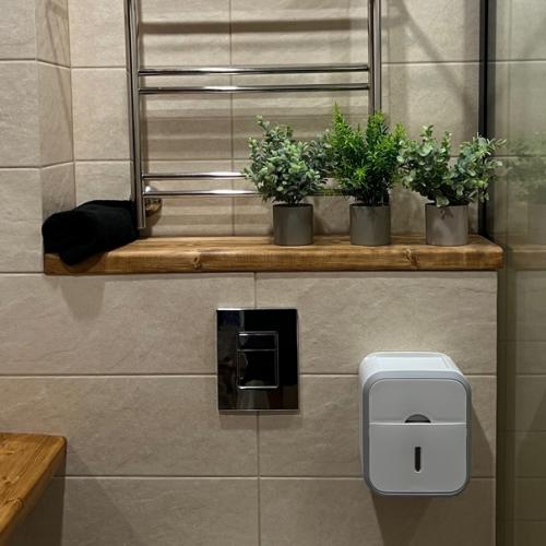 Топ - 5 мест в доме, где будут уместны искусственные растения. 02