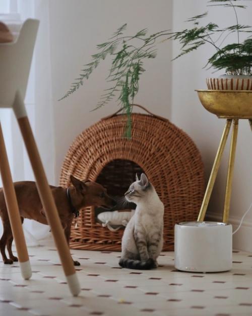 Гармоничный дом Екатерины c винтажной атмосферой и скандинавской эстетикой. 03