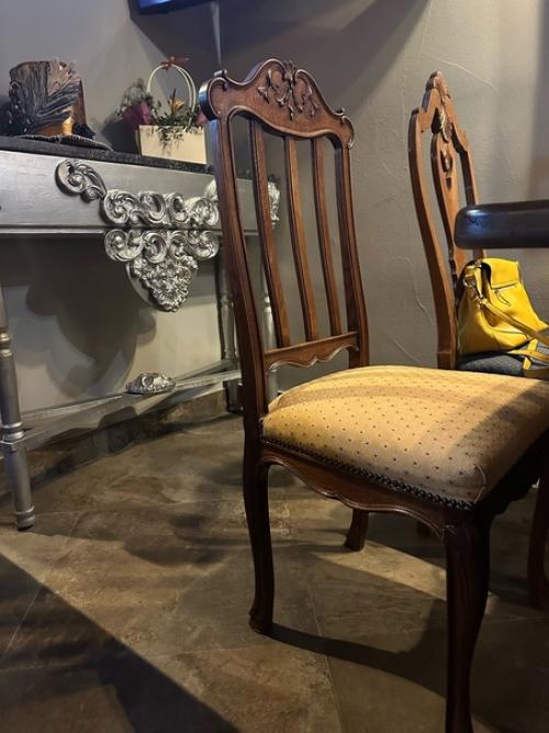 Женская дружба или поход в кроличью нору в рубрике выходного дня Четырьмя Лапами по Калининграду. 02