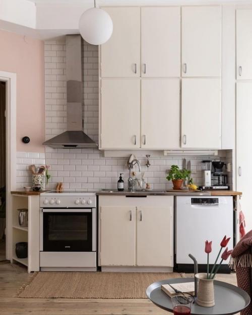 Эта небольшая скандинавская квартира 55 кв. 04