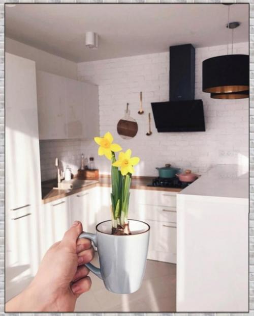 Уютная квартира невероятно. 05