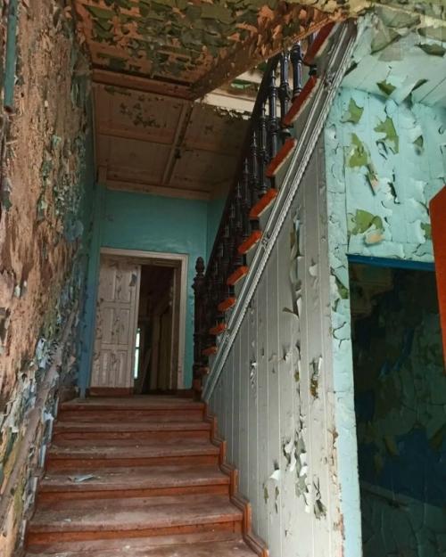 Есть в калининградской области место, где компании Netflix сам бог велел снять завораживающий и кошмарный сериал про вампиров. 07