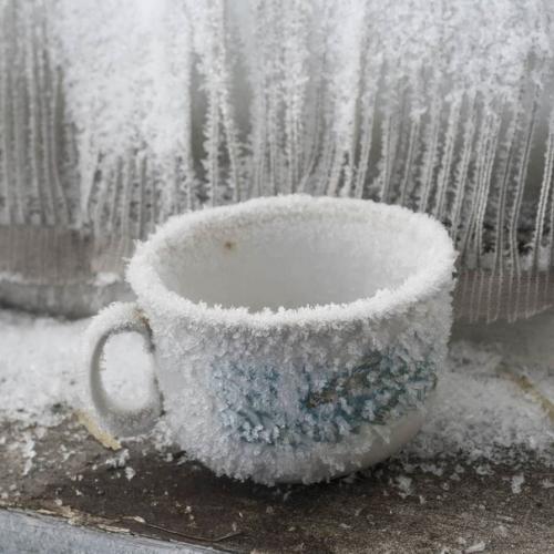 Когда забыл закрыть форточку. 02