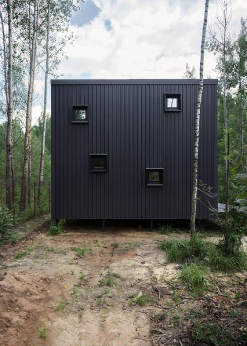 Домик Firsthouse от егора егорычева. 06