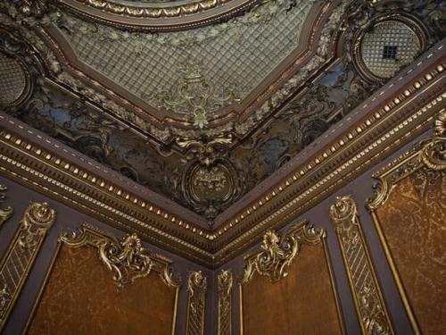 Особняк купцов Брусницыных расположился на кожевенной линии васильевского острова - в XIX веке она была промышленной зоной. 02