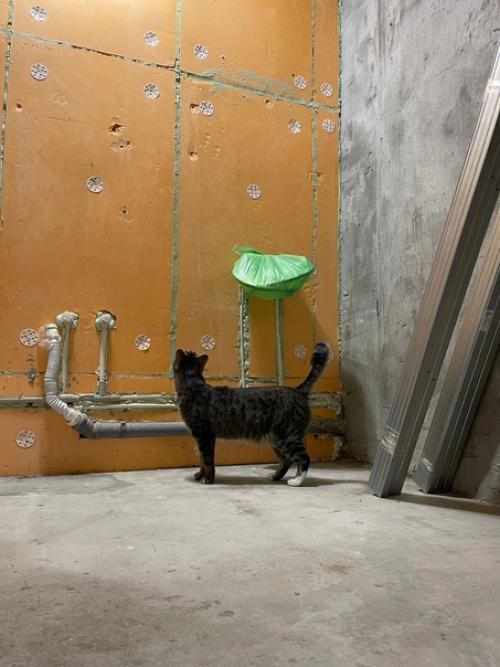 Ремонт сдвинулся в ванной. 09