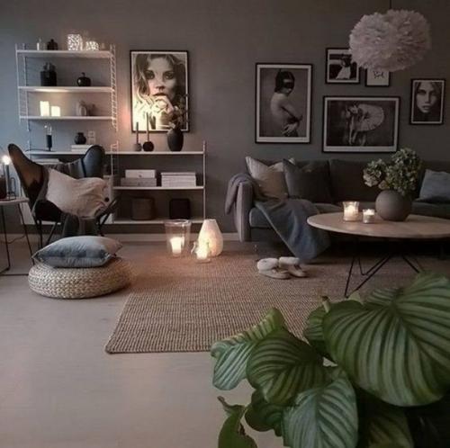 Дизайн гостиных с темными стенами. 04