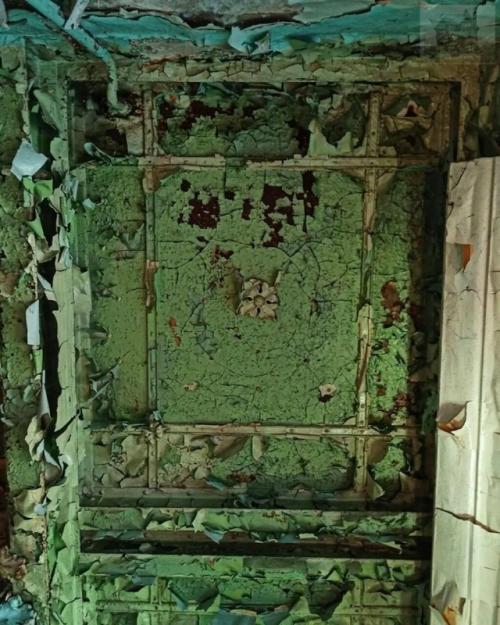 Есть в калининградской области место, где компании Netflix сам бог велел снять завораживающий и кошмарный сериал про вампиров. 08