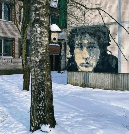 Легенды мирового рока украсили фасады домов в елизаветино.

