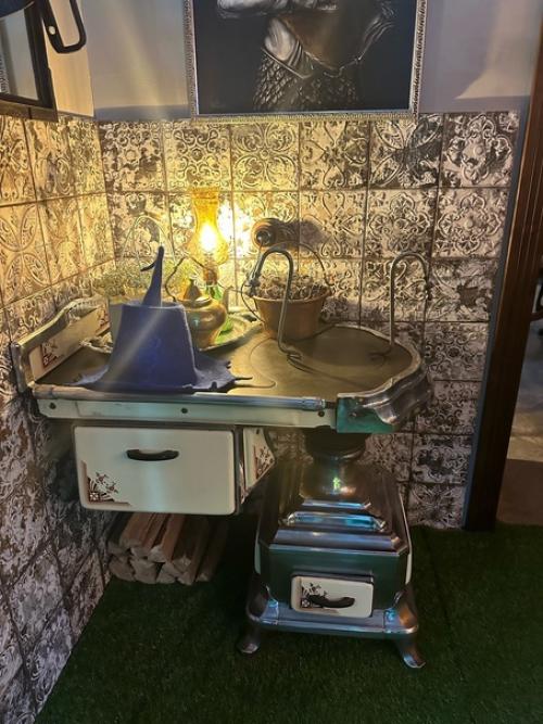 Женская дружба или поход в кроличью нору в рубрике выходного дня Четырьмя Лапами по Калининграду. 01