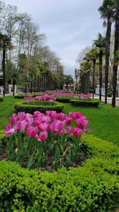 Чем заняться в Сочи не в сезон. 02