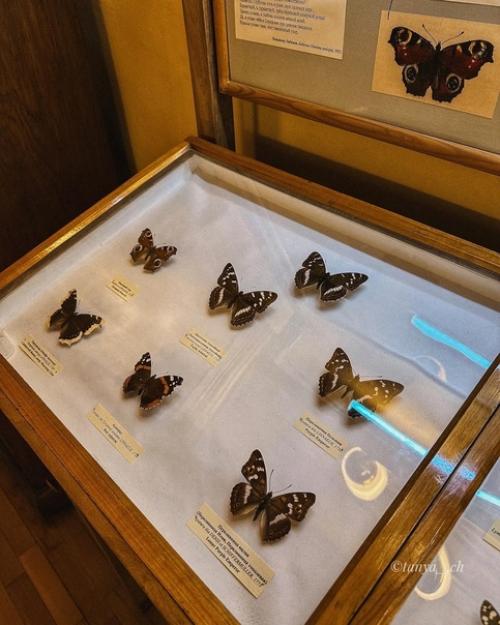 Музей - квартира Владимира Владимировича Набокова. 02