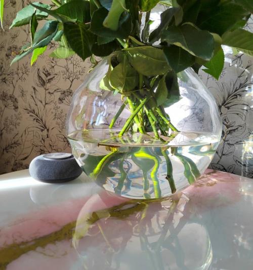 Как красиво солнце проникает утром в дом, каждый раз любуюсь. 01