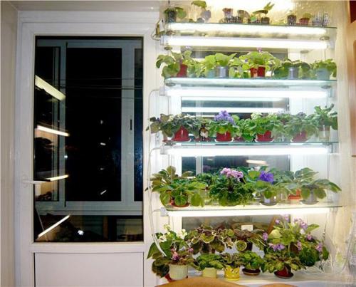 Как правильно сделать стеллаж для рассады своими руками? 02