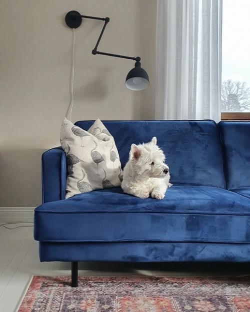 Цвет неба в вашей гостиной: 9 потрясающих синих диванов для уютного интерьера. 08