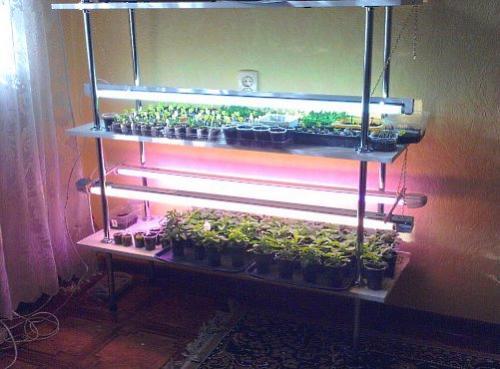 Как правильно сделать стеллаж для рассады своими руками? 05