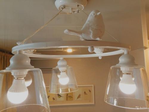 Рубрика В мире Интересного. 05