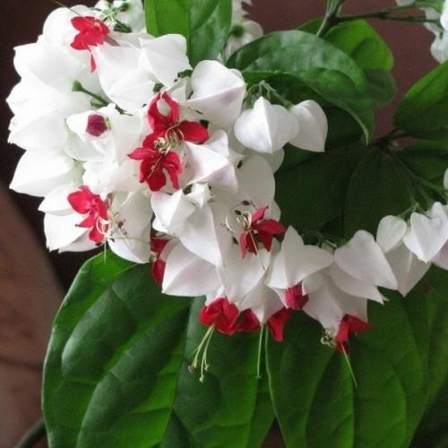 С о с Ь РИ о, чтобы о ат ы Ц ты росли а а дрожжах. 01