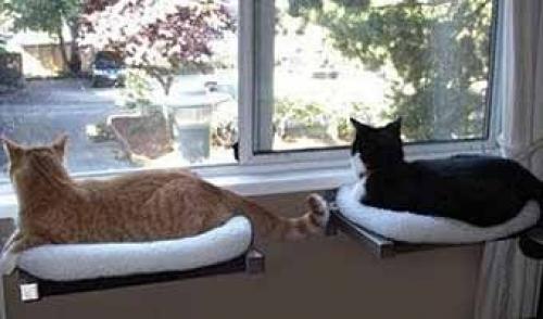 Мы обустраиваем балкон для кошки. 05