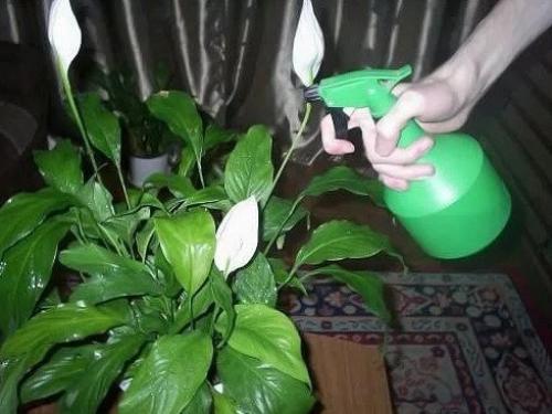 С о с Ь РИ о, чтобы о ат ы Ц ты росли а а дрожжах. 04