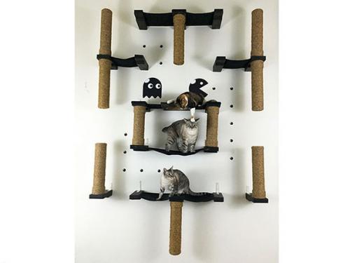 Как выбрать игровой комплекс для кошки. 05 Как выбрать игровой комплекс для кошки. 05