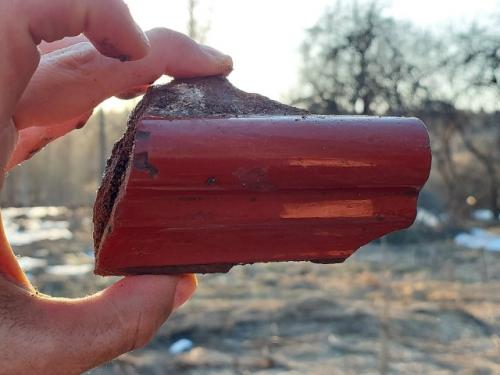 В изучении родного края важна каждая мелочь, каждая деталь! 04