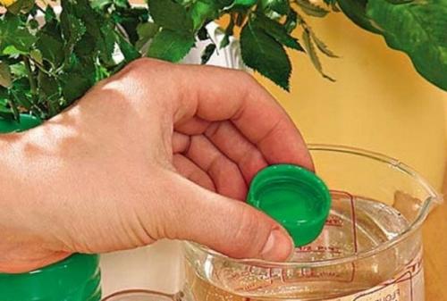 С о с Ь РИ о, чтобы о ат ы Ц ты росли а а дрожжах. 02