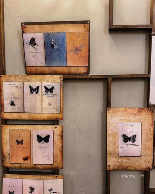 Музей - квартира Владимира Владимировича Набокова. 05