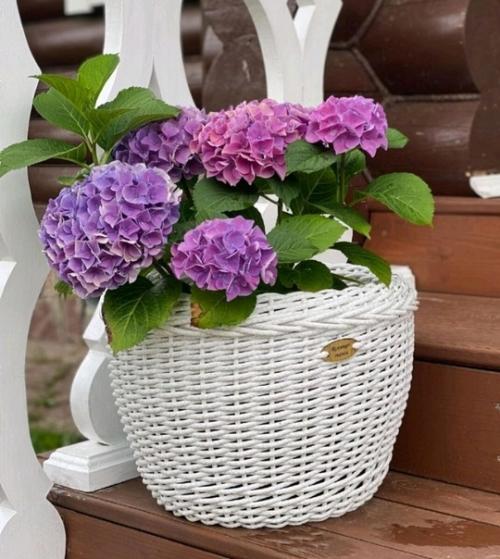 Белые и красные кашпо из ротанга создают яркий и гармоничный дуэт в интерьере. 03