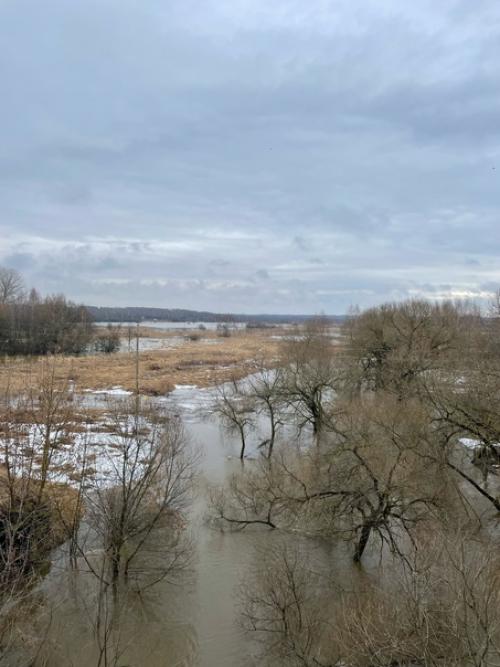 Самоизоляция короновирус сидимдома. 01