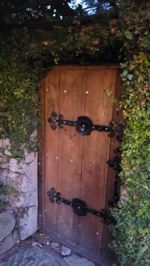 Чем заняться в Сочи не в сезон. 04