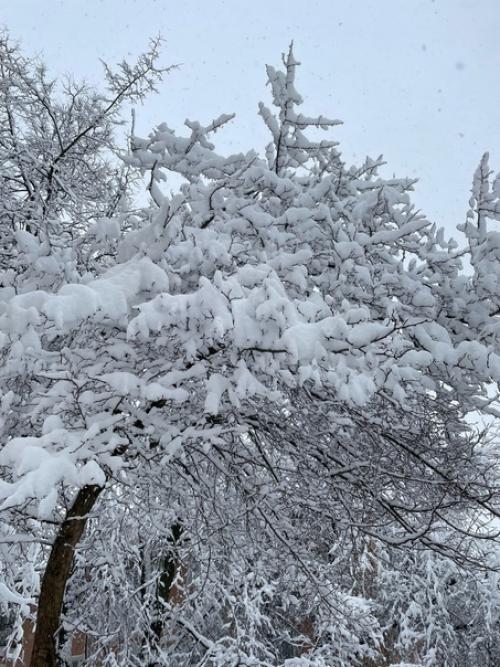 Самоизоляция короновирус сидимдома. 06