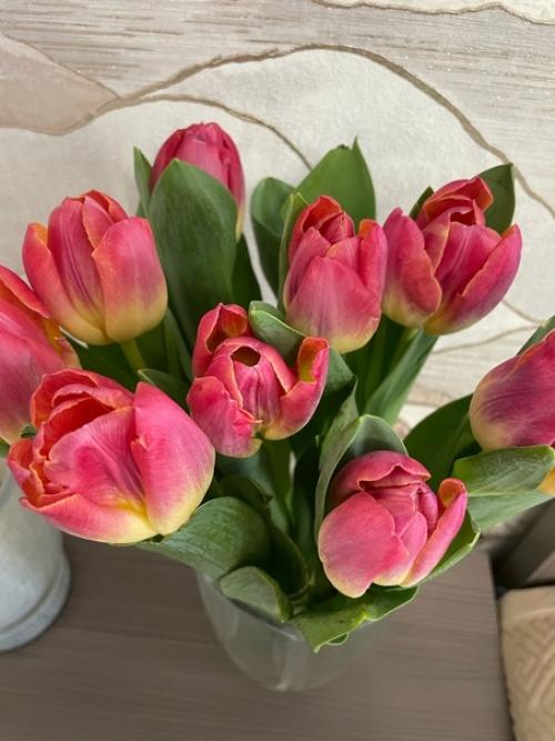 Самоизоляция короновирус сидимдома. 08