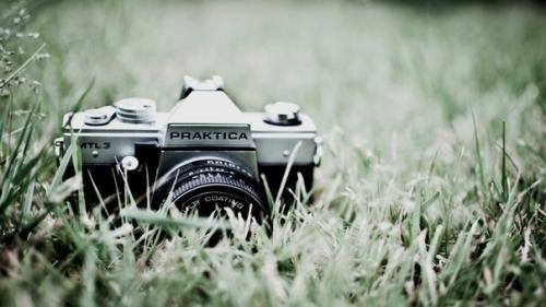 Заработок на фотобанках.

