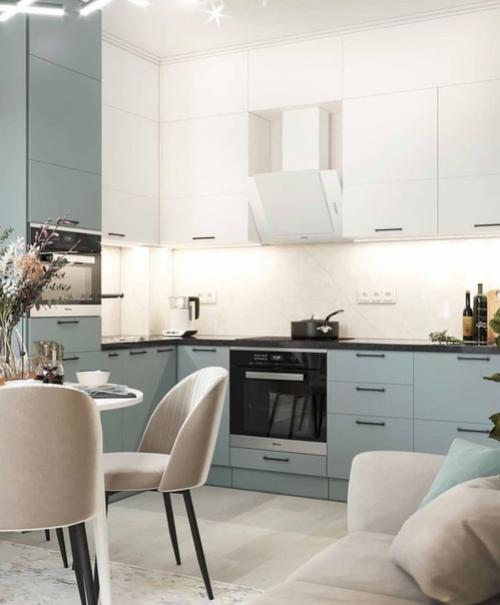 Дизайн кухни - гостиной 16 кв. 04