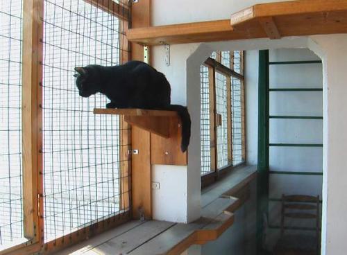 Мы обустраиваем балкон для кошки. 03