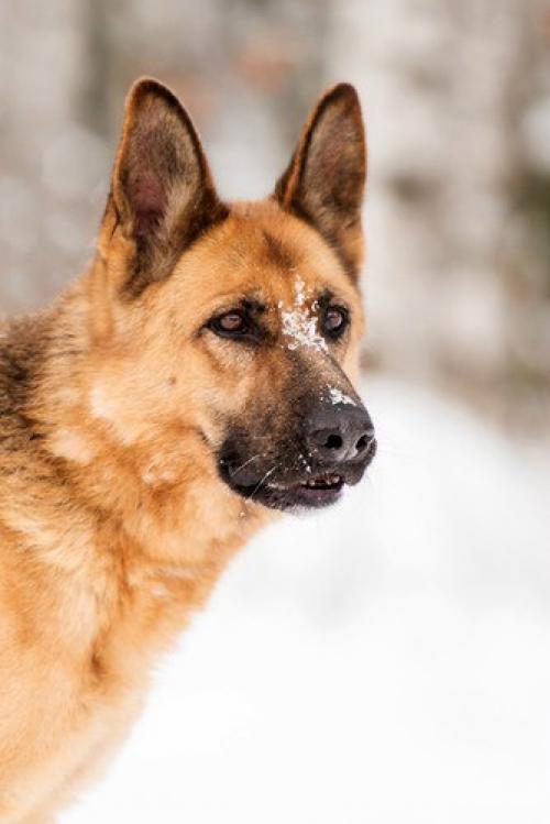 Пристраивается в Москву и мо. 02