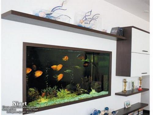 Как вписать в интерьер аквариум - дизайн - идеи. 01