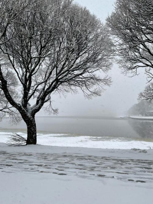 Самоизоляция короновирус сидимдома. 04