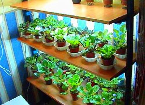 Как правильно сделать стеллаж для рассады своими руками? 03