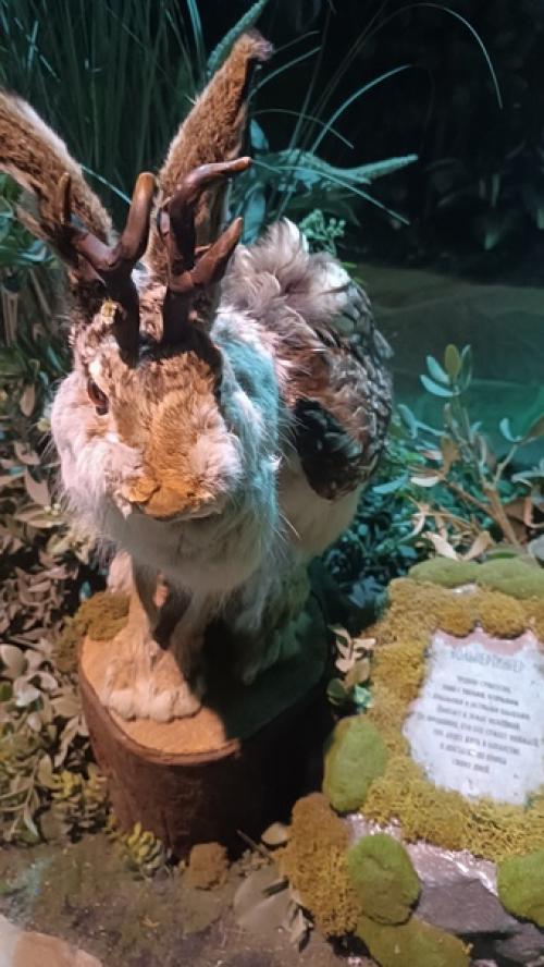 Потрясающий особняк небылиц, сказок, волшебства и причудливых персонажей. 06