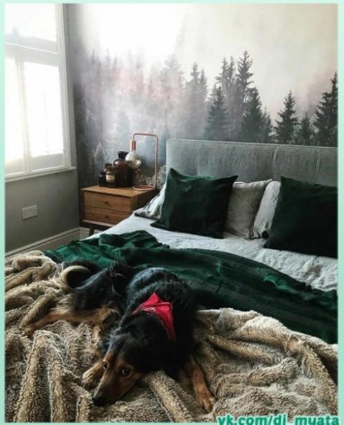 Идея оформления спальни. 07