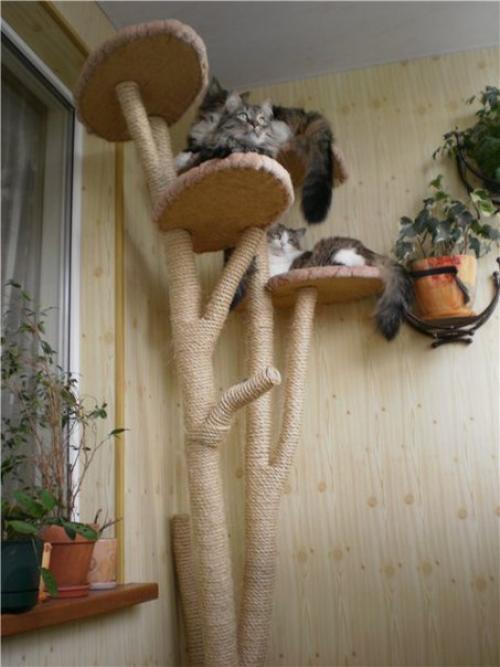 Мы обустраиваем балкон для кошки. 07