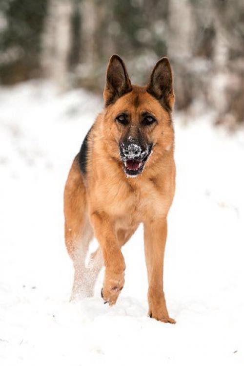 Пристраивается в Москву и мо. 01